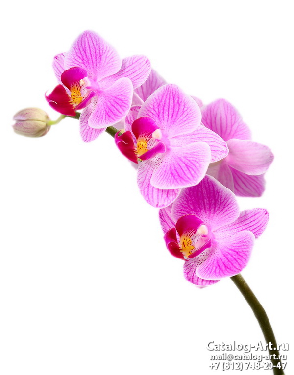 картинки для фотопечати на потолках, идеи, фото, образцы - Потолки с фотопечатью - Розовые орхидеи 35